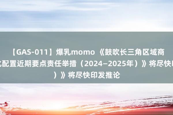 【GAS-011】爆乳momo 《鼓吹长三角区域商场一体化配置近期要点责任举措（2024—2025年）》将尽快印发推论