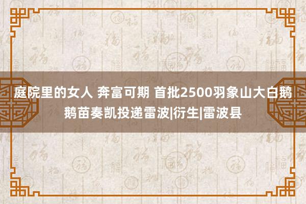 庭院里的女人 奔富可期 首批2500羽象山大白鹅鹅苗奏凯投递雷波|衍生|雷波县